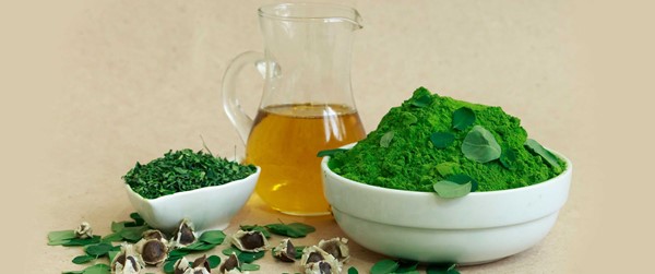 دمنوش مورینگا اولیفرا طب جو چای مورینگا اولیفرا طب جو چای سبز